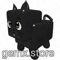 Black Cat
